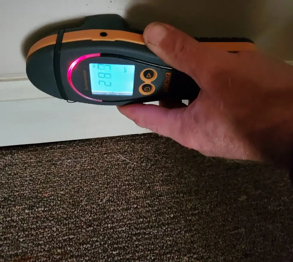 Moisture detection at baseboard during Sewage Cleanup & Sanitation in Queensbury